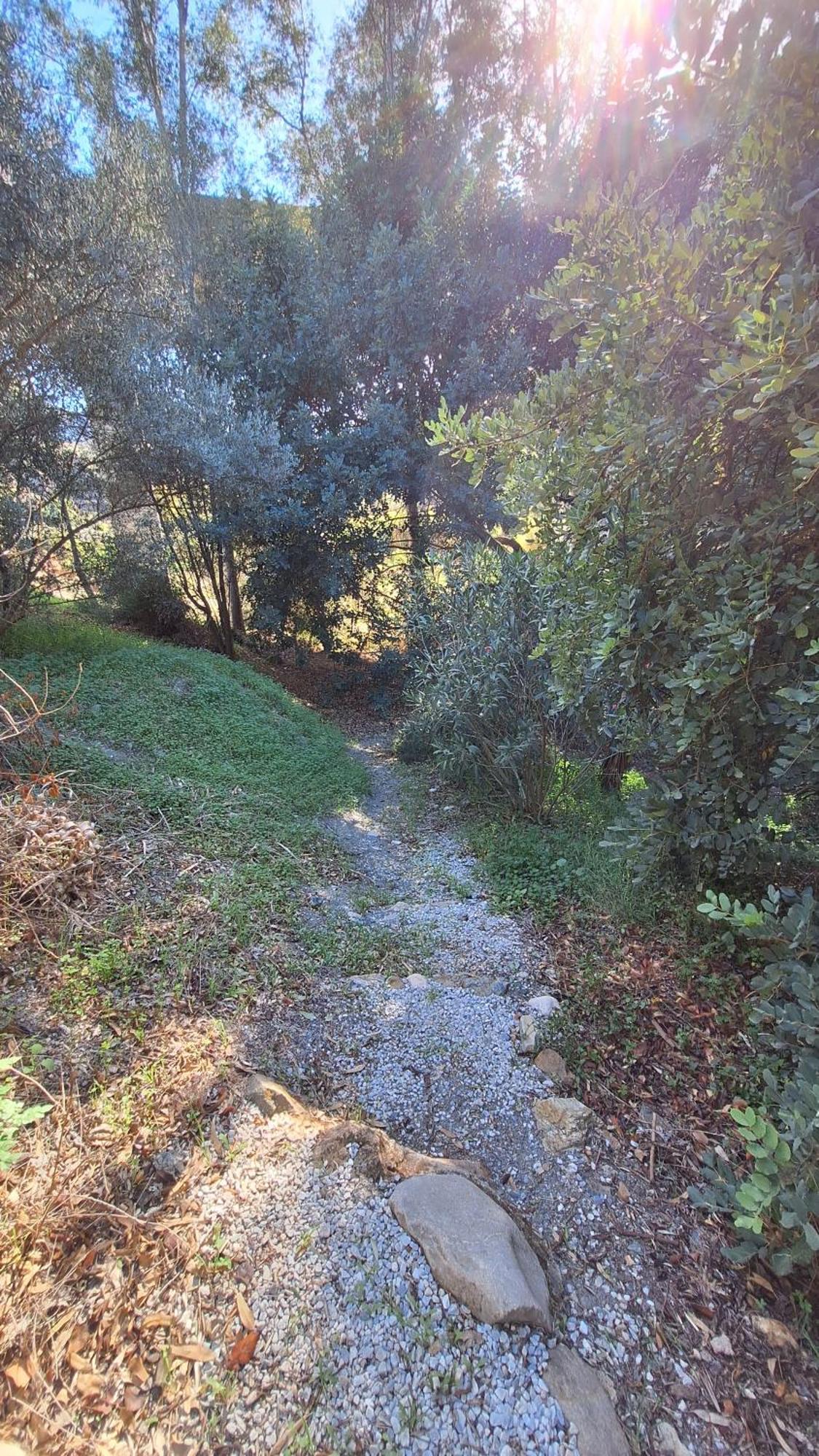 El Agua Da Vida Comares