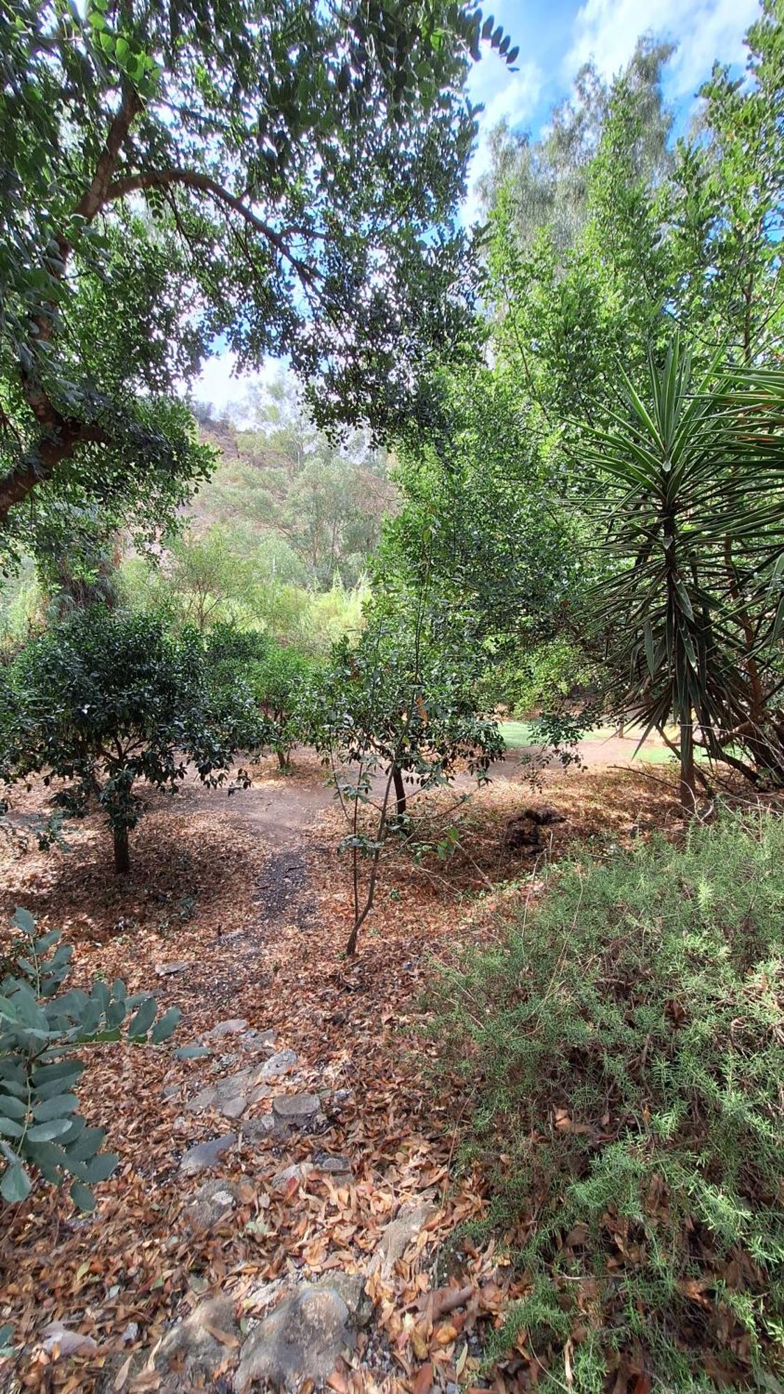 Holiday home El Agua Da Vida Comares